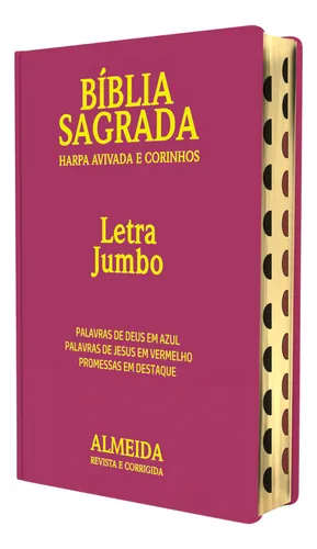 Bíblia Sagrada Letra Jumbo