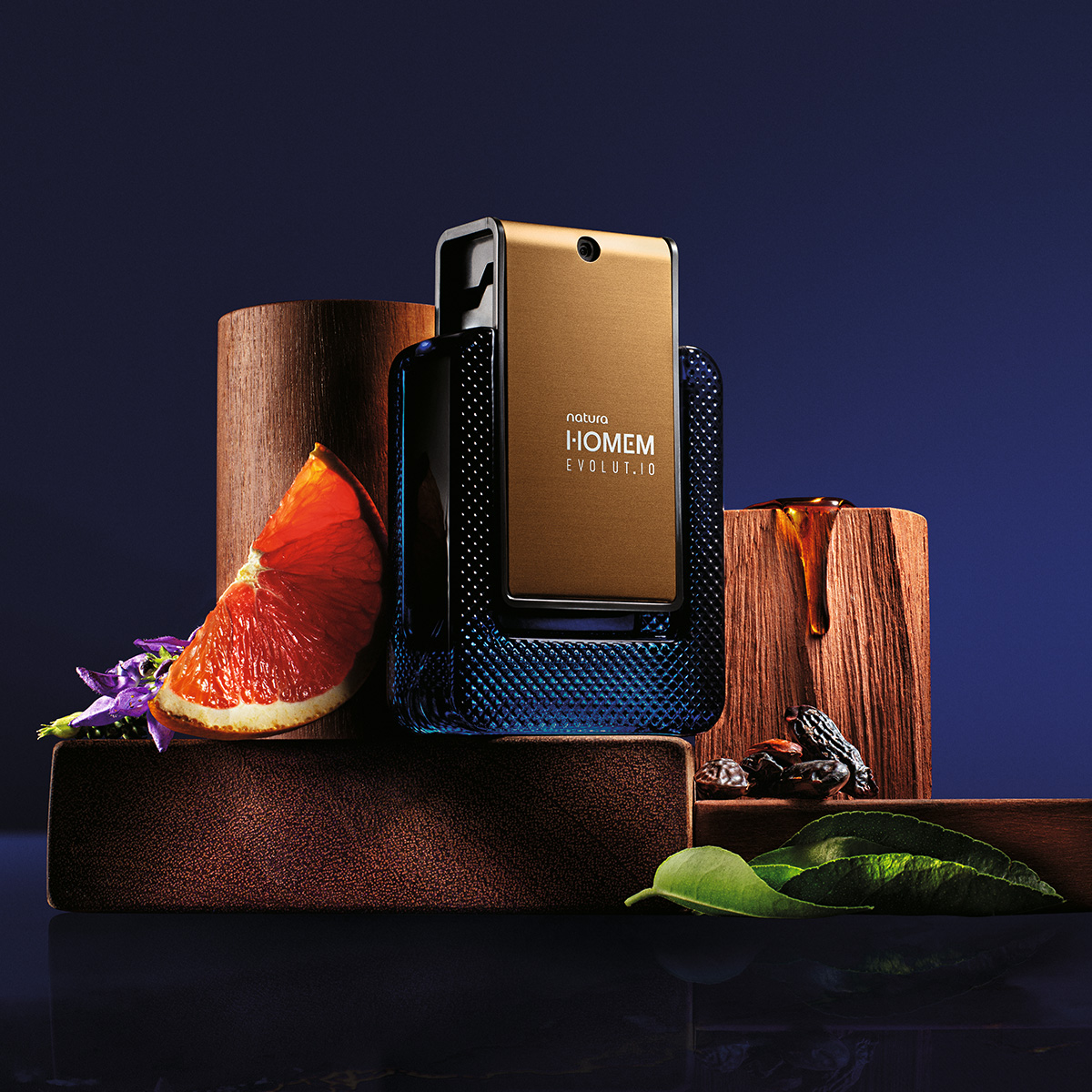 Natura Homem Evolut.io