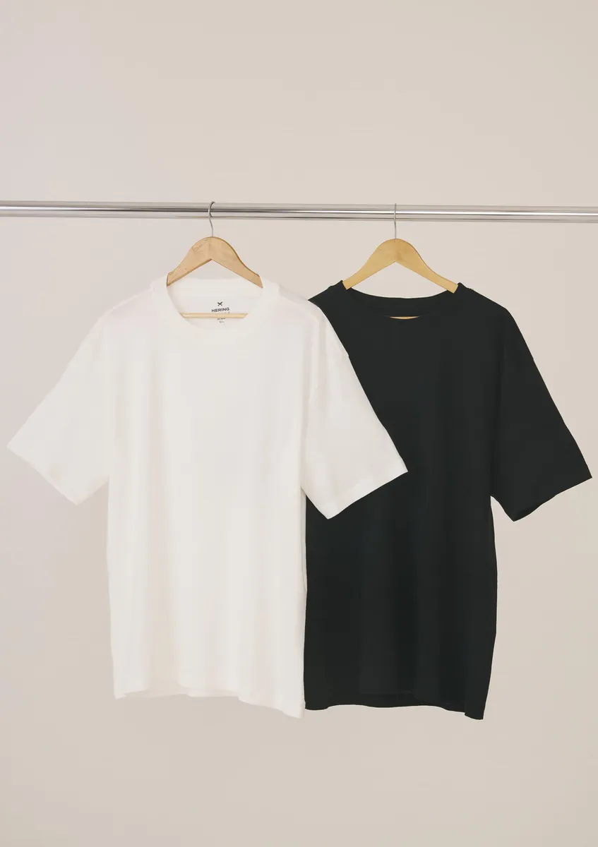 Kit Com 2 Camisetas Masculinas Hering