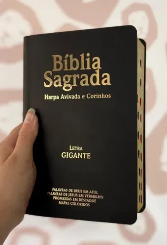 Bíblia Sagrada Evangélica Letra Comum/normal Com Índice - Preto Capa Luxo Flexível...